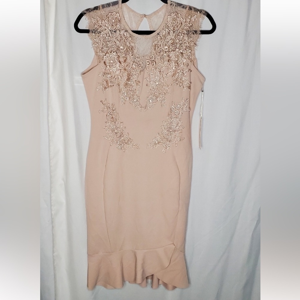 Blashe blush pink lace stretch mini dress cocktail S M NWT